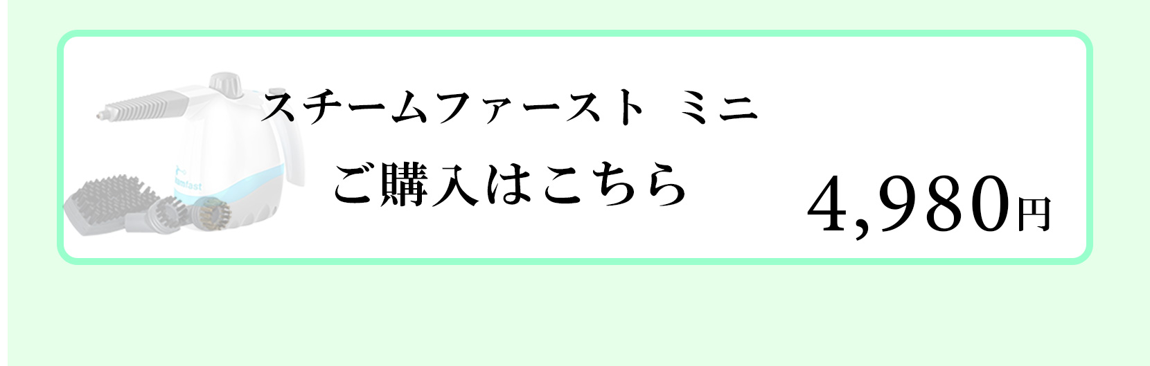 スチームファースト ミニご購入はこちら